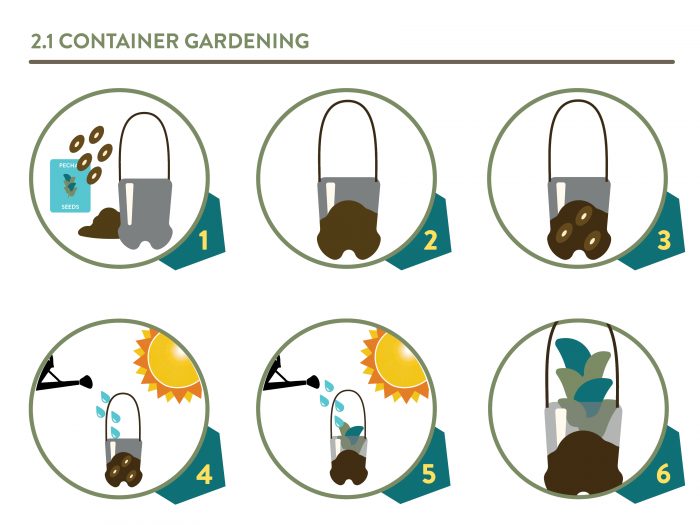 Creating Your Own Container Garden — International Care Ministries