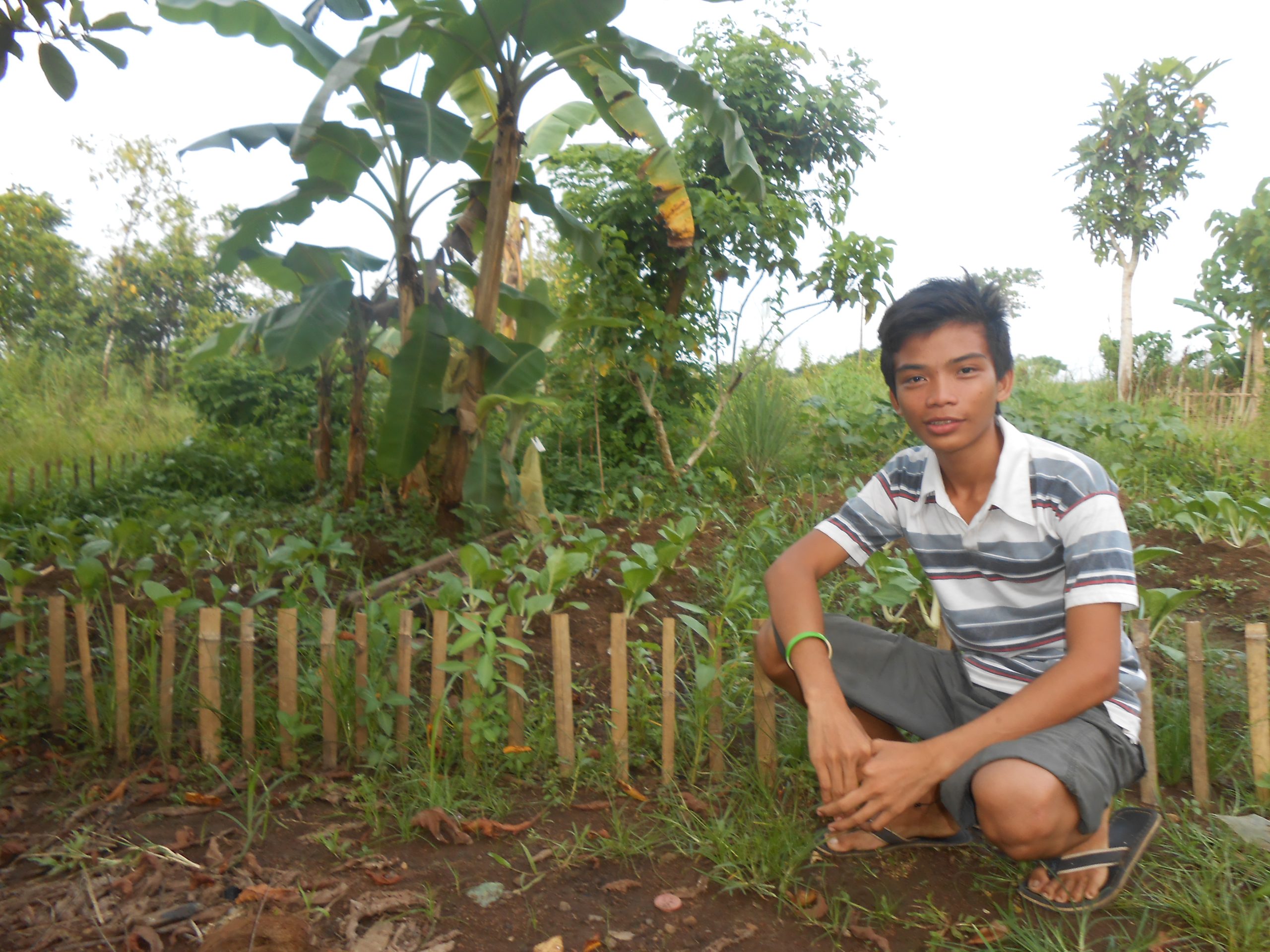 tf20149110_john-paul-paraliza1